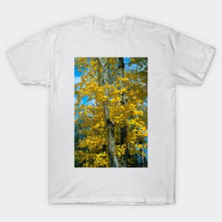 Yellow Maples T-Shirt